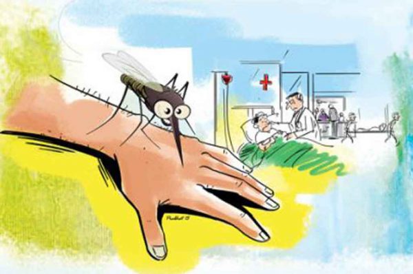 ऐ मच्छर, तू महान है: अदने से मच्छर की महिमा अपरंपार