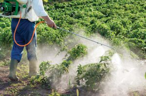 PestSpray1