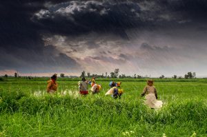 farming with the help of social media