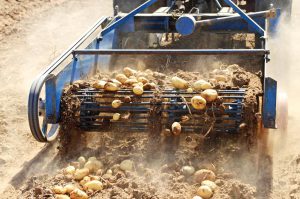 agriculture