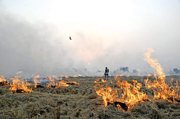 पराली से प्रदूषण : जमीनी स्तर पर हो काम तभी फायदे में होगा किसान