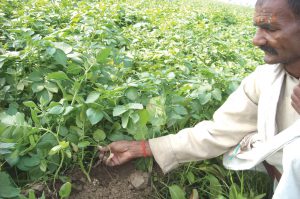agriculture and farming