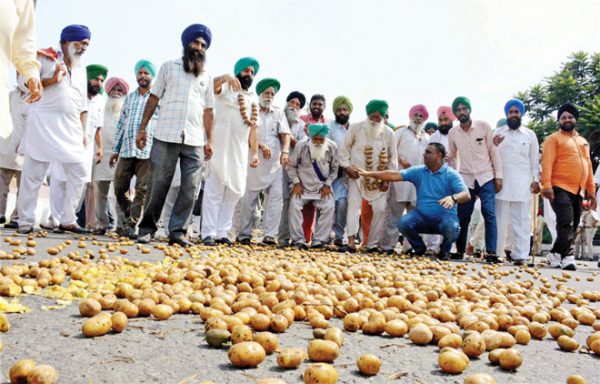 किसान आंदोलन में यूपी किसानों का अगर मगर