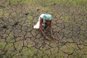 agriculture and farming