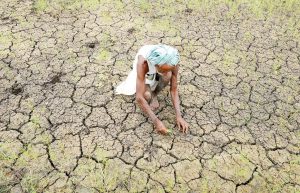 farming and agriculture