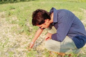 agriculture and farming