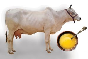 organic-india-pure-cow-ghee