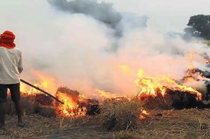 delhi air pollution government approved GRAP in Delhi NCr