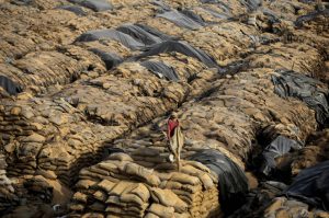 world food day The grains of 43 thousand people are rotting every day