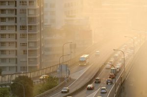 kidney is being affected by pollution