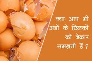 क्या आप भी अंडों के छिलकों को बेकार समझती हैं?