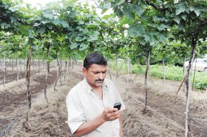 digital technology for farming and agriculture