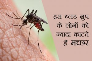 इस ब्लड ग्रुप के लोगों को ज्यादा काटते हैं मच्छर, जानिए वजह