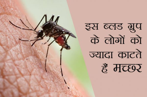 इस ब्लड ग्रुप के लोगों को ज्यादा काटते हैं मच्छर, जानिए वजह