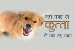 tips after dog bite