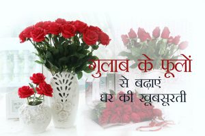increase-the-beauty-of-the-house-with-rose-flowers