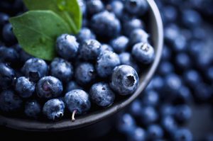 blueberry benefits in dental care