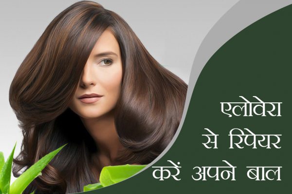 खराब बालों को रिपेयर करें एलोवेरा से