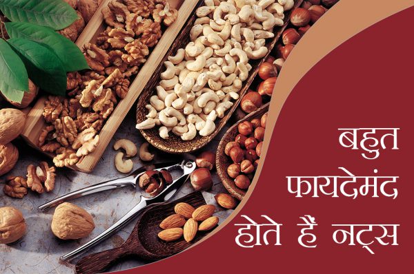 कैंसर, हार्ट अटैक जैसी बीमारियों के इलाज हैं नट्स