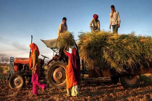 Farmer-suicides-Indian-farmers-Indian-news-India