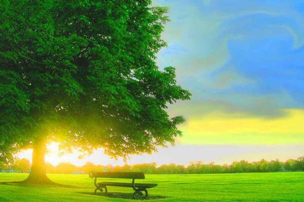 कुछ देर मैं दुनिया से अलग रह पाती, दिल में उठते हुए तूफान थम गये जैसे…