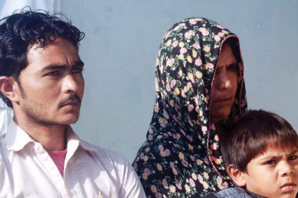 नो वन किल्ड पहलू खान