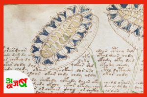 kitab