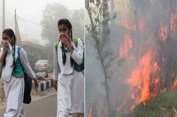 ‘पराली‘ नहीं अलग वजहें है प्रदूषण की