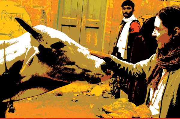 गौभक्ति का उन्माद