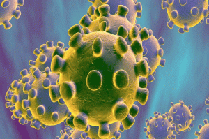 #coronavirus: और भी वायरस हैं कोरोना के सिवा