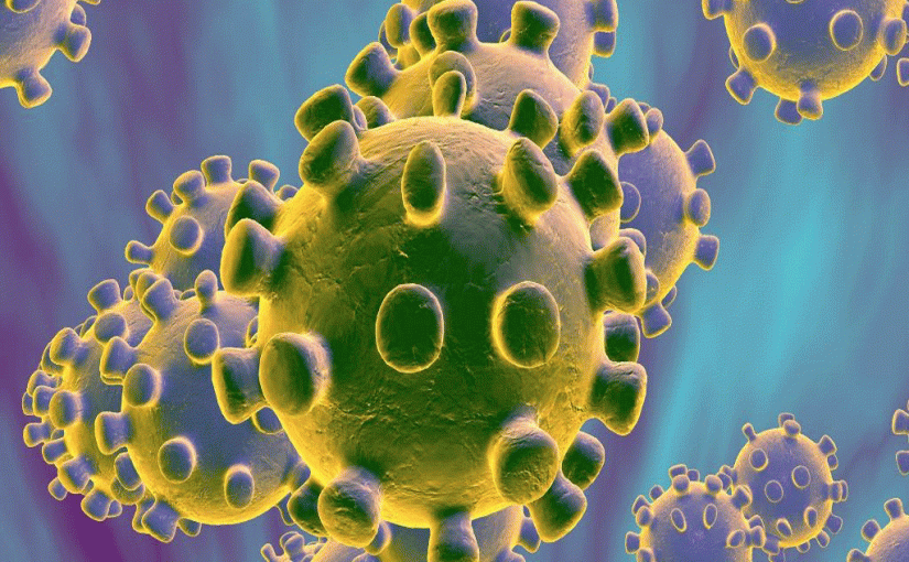 #coronavirus: और भी वायरस हैं कोरोना के सिवा