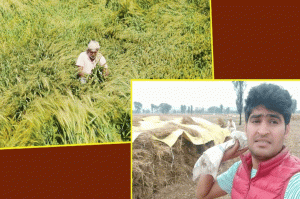 #coronavirus: मुआवजे की आस में किसान