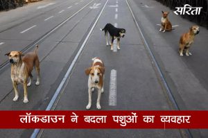 #coronavirus: लॉकडाउन ने बदला पशुओं का व्यवहार 
