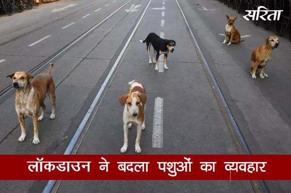 #coronavirus: लॉकडाउन ने बदला पशुओं का व्यवहार 