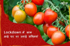 #lockdown: लौक डान में काम आई घर पर उगाई सब्जियां
