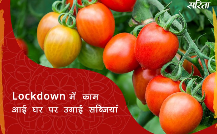 #lockdown: लौक डान में काम आई घर पर उगाई सब्जियां