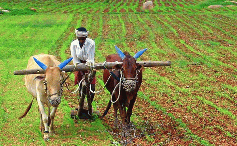 लॉकडाउन का शिकार हो किसान
