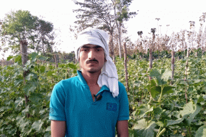 लॉकडाउन नें सब्जी उत्पादक किसानों की बढ़ा दी मुसीबत खेतों में सड़ रहीं सब्जियां