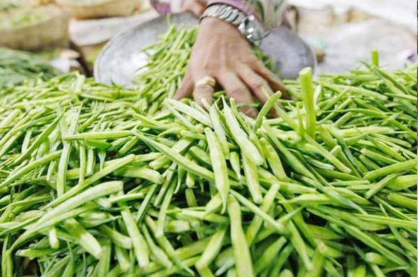 ग्वार की खेती से ऐसे लें फायदा