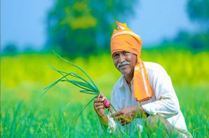 मेघदूत मोबाइल एप: मुट्ठी में मौसम की जानकारी