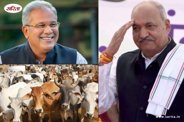 गौधन न्याय योजना के तहत छत्तीसगढ़ सरकार खरीदेगी गाय का गोबर