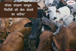 गोवध संरक्षण कानून : निर्दोषों को जेल भेजने का जरिया