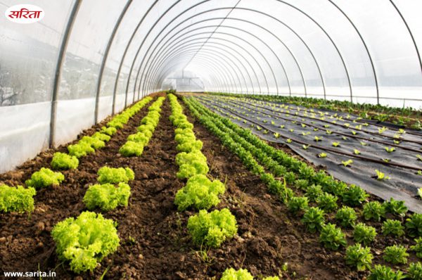 Top 10 Farming Tips in Hindi : टॉप 10 फार्मिंग टिप्स इन हिंदी