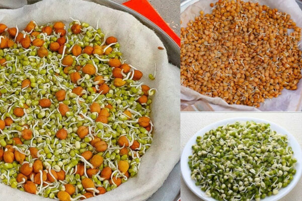 इन चीजों को खाएं भिगोकर, कई बीमारियां रहेंगी कोसों दूर