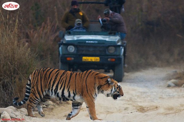 जिम कौर्बेट: अनोखा प्राकृतिक प्रेम