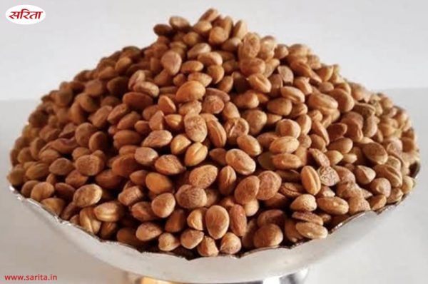 विनाश की ओर चिरौंजी, संरक्षण और संवर्घन जरूरी