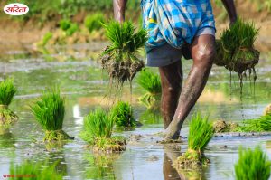 farming
