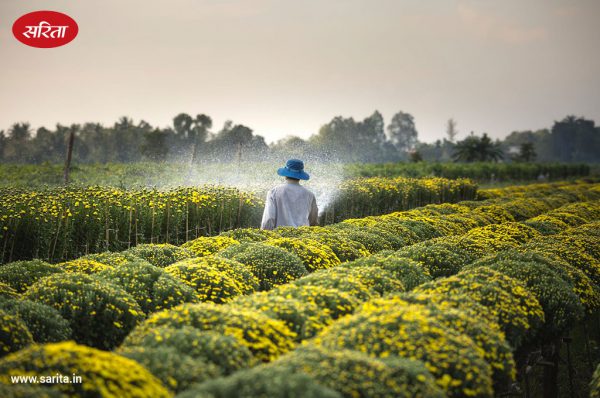 फसल अवशेष और इसका प्रबंधन
