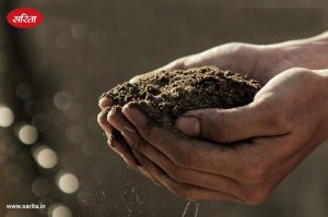 soil-testing