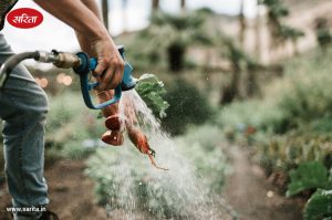 farming
